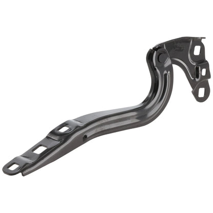 Hood Hinges Set of 2  Driver & Passenger Side for Chevy Left Right Equinox Pair