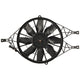 Radiator Cooling Fan For 1997-04 Dodge Dakota 00-03 Durango Fan Blade and Motor