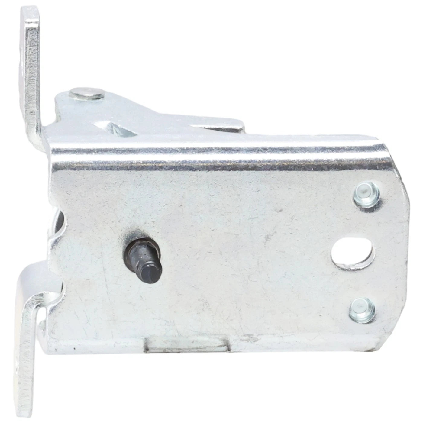 Set of 2 Door Hinges Front Driver & Passenger Side Lower Left Right Pair