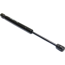 Pair Trunk Lid Lift Supports Set of 2  Driver & Passenger Side Left Right